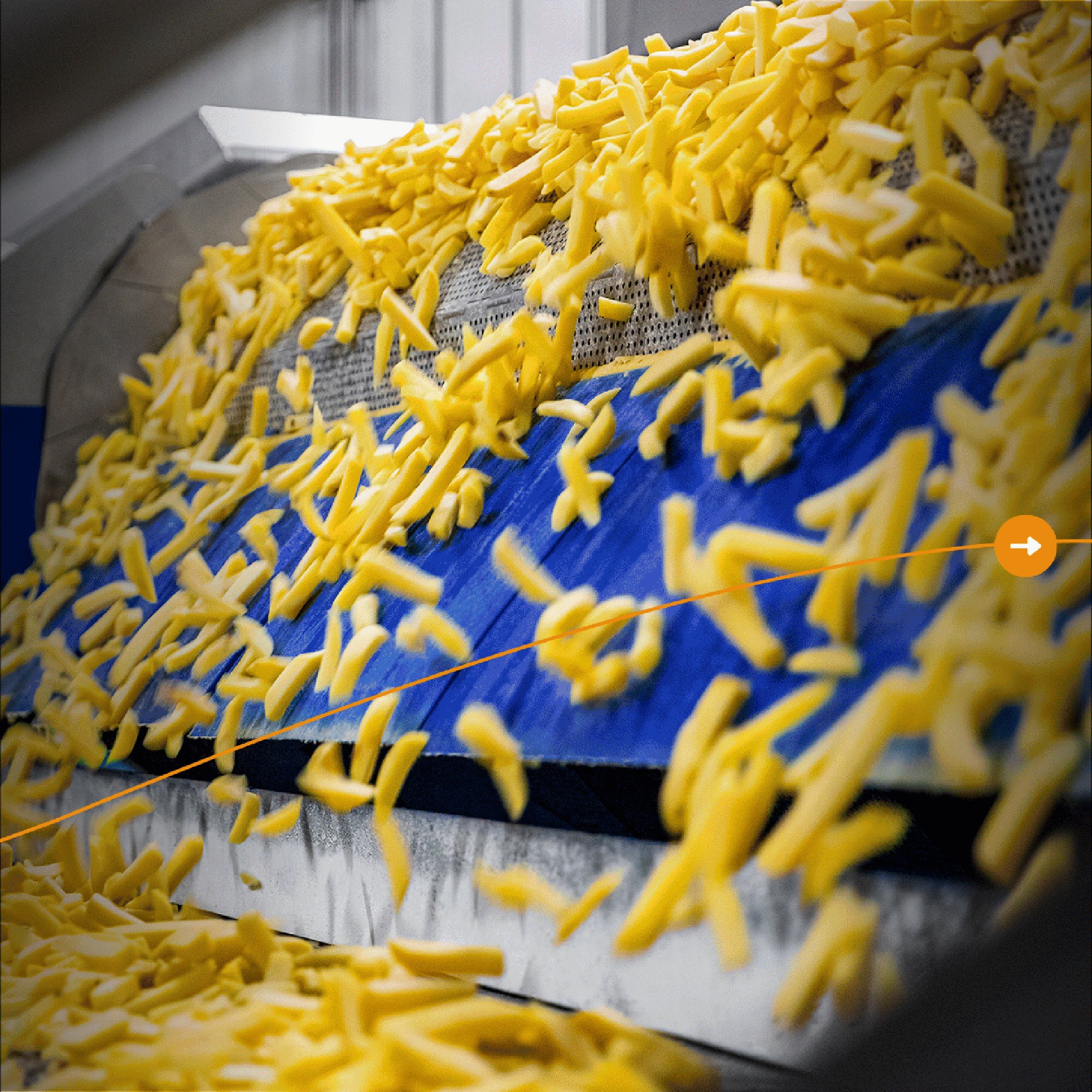 Processing — Fries