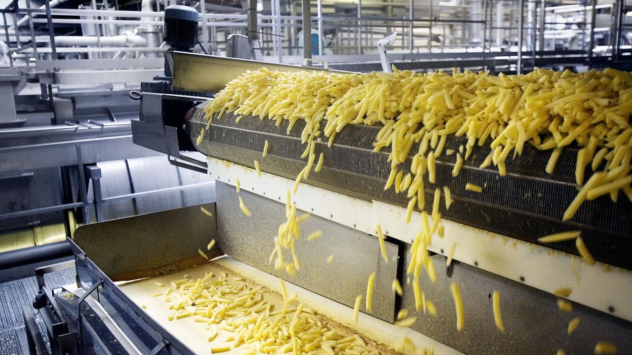 Processing — Fries
