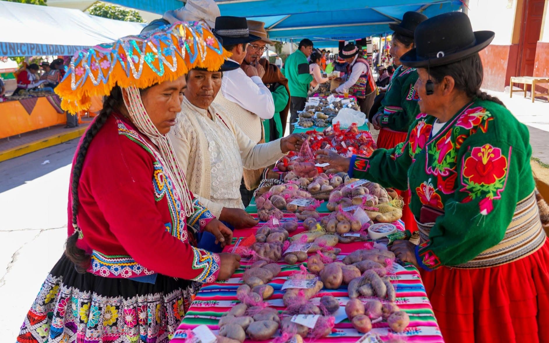 Custodian farmers exchanging native potatoes at the La Mar gathering